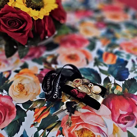 Residenza Saragozza Gipsy Lägenhet *